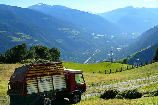 Heuarbeit am Patleidhof