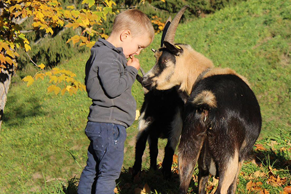 Herbstspiel mit den Tieren am Patleidhof