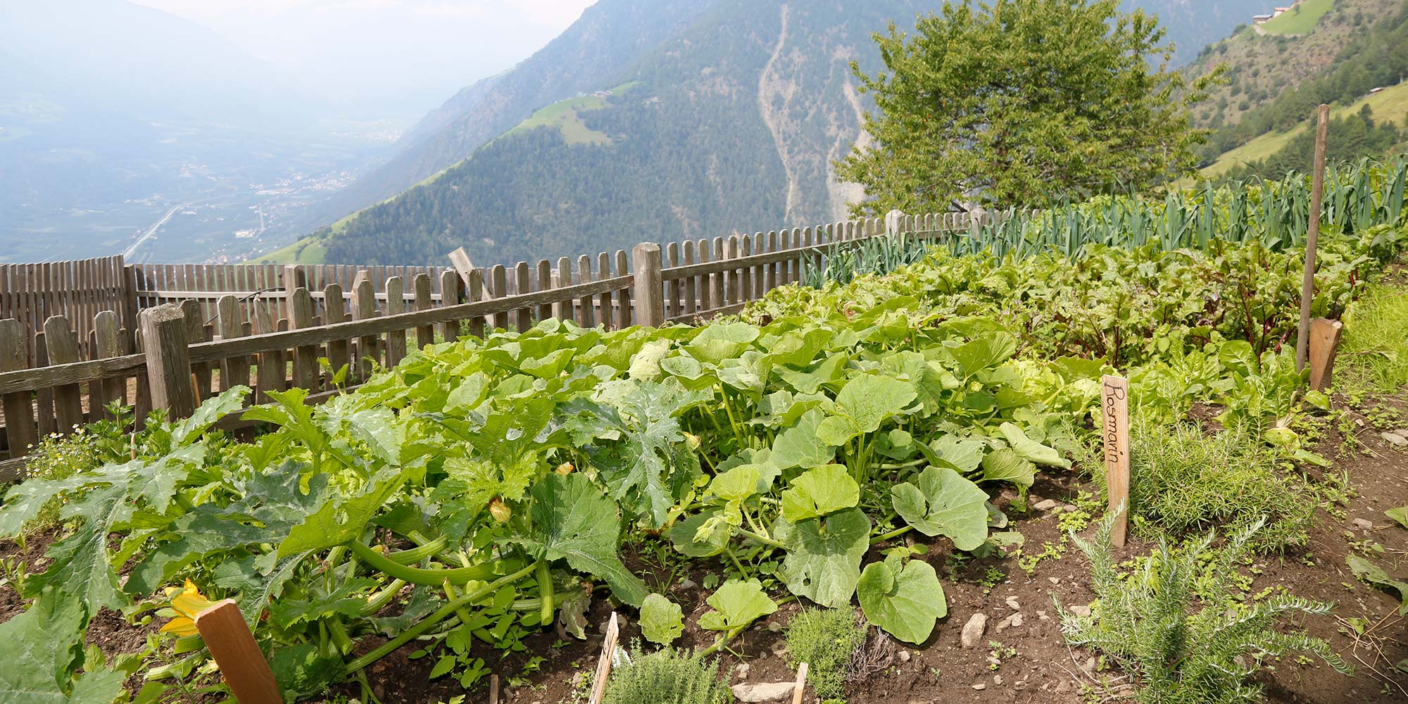 Hofschank am Patleidhof 
