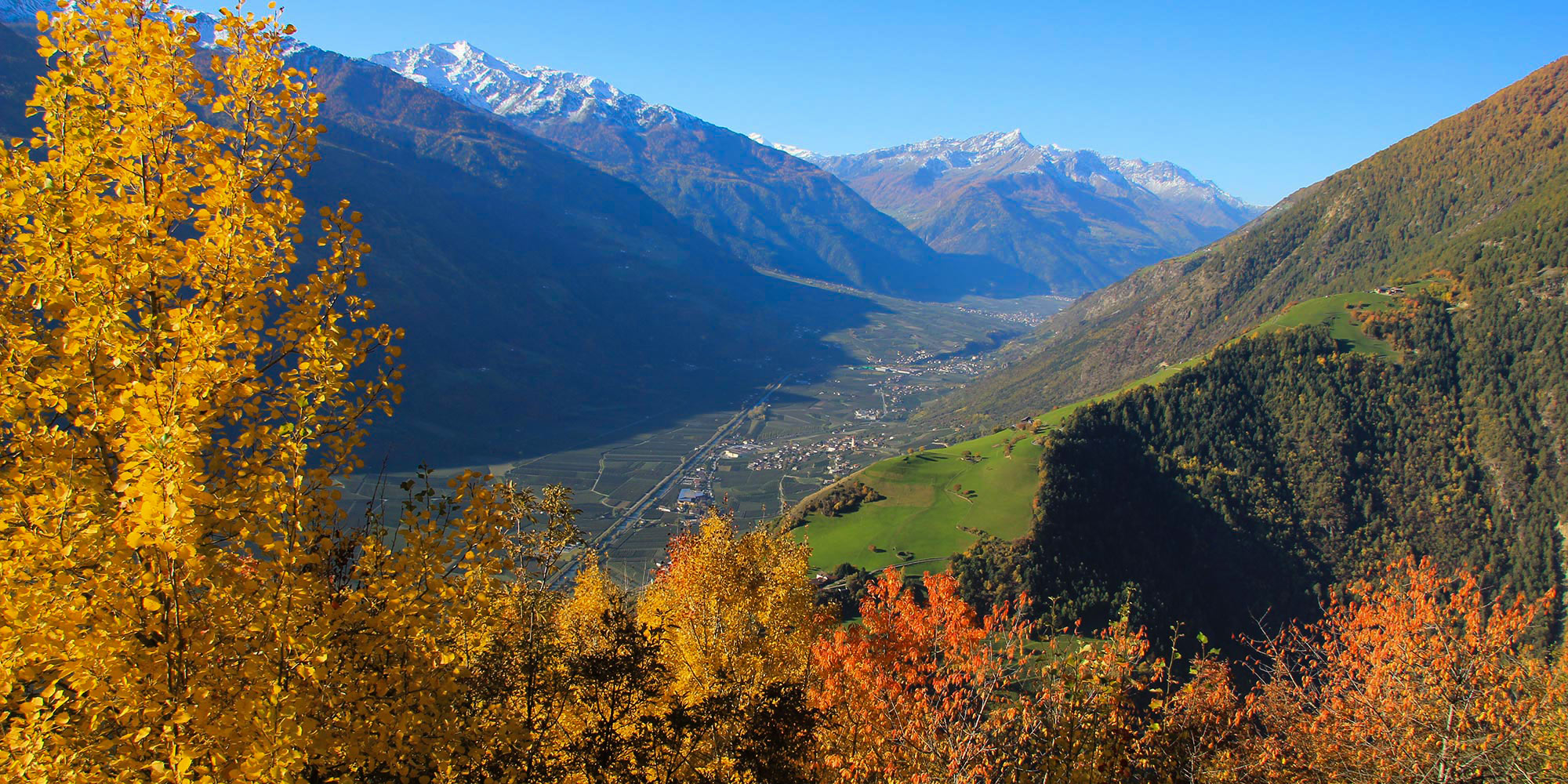 Patleidhof am Naturnser Sonnenberg in Südtirol