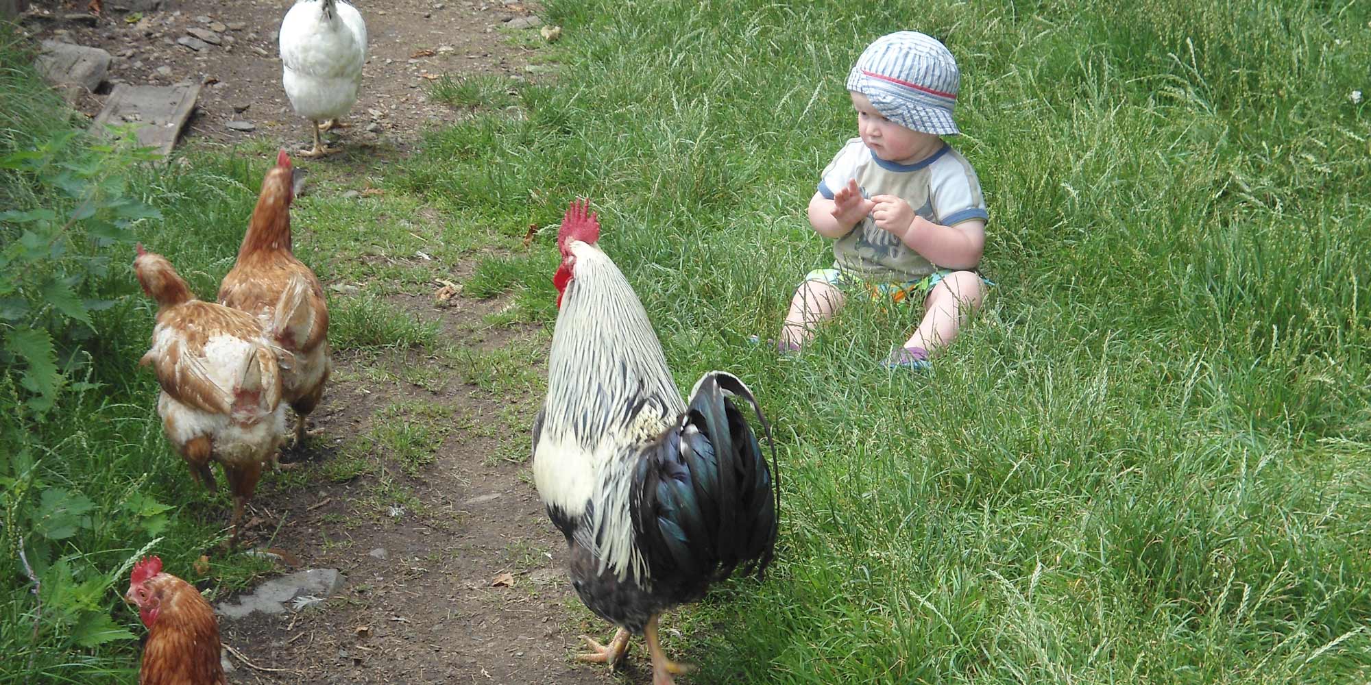 Kinderparadies am Patleidhof